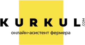 kurkul